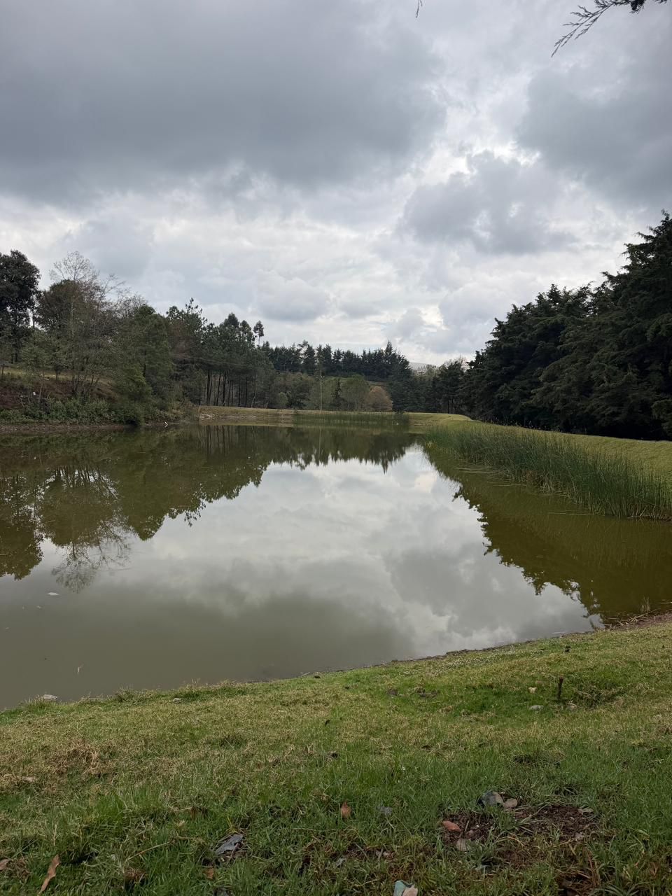 Laguna y bosque en terrenos en venta en Tecpán